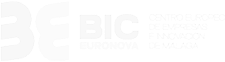 BIC_logo 1scaleup